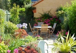 Garden Ideas
