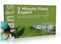 The 5 Minute Plant Expert – Mini-Course