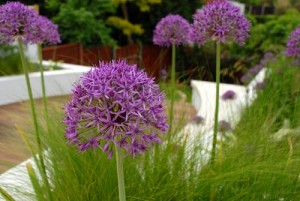 Your dream garden is achievable 