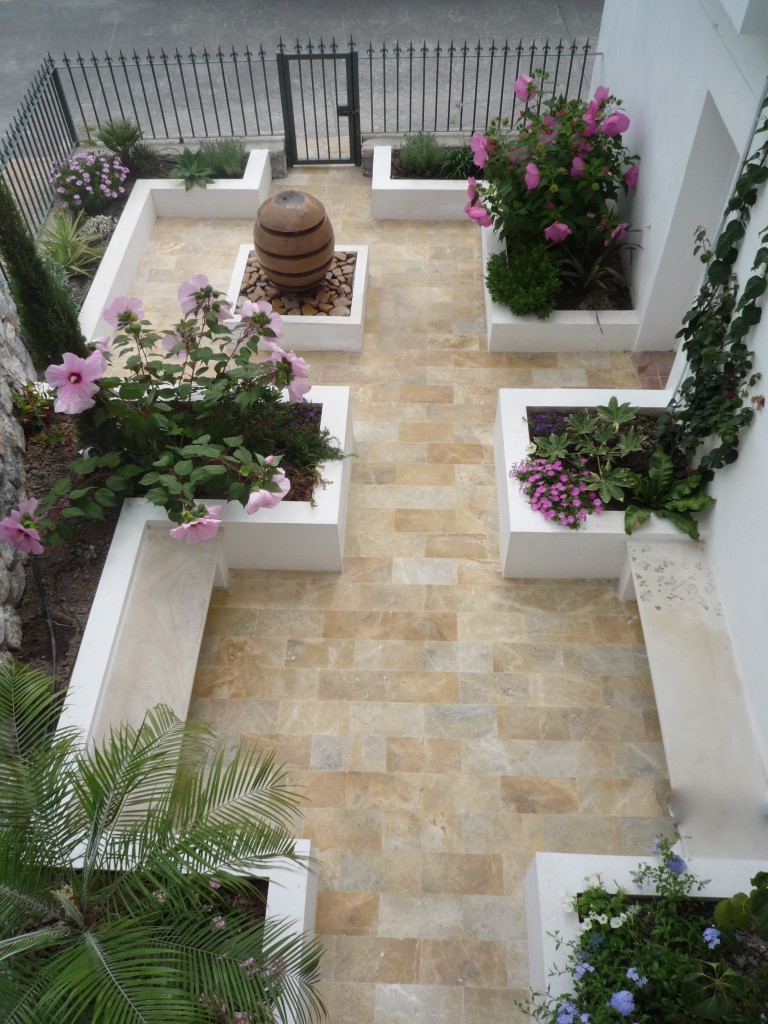 The enormous pink flowers are Hibiscus