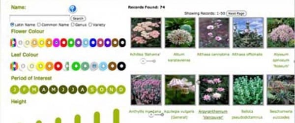 plant-picking-tool plant-picking-tool