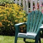 Summer-garden Summer-garden