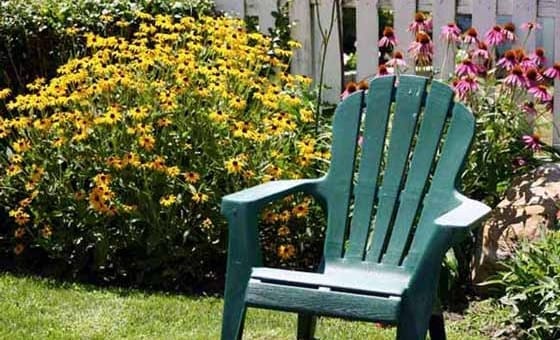 Summer-garden Summer-garden