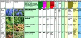 PLANTdatabase