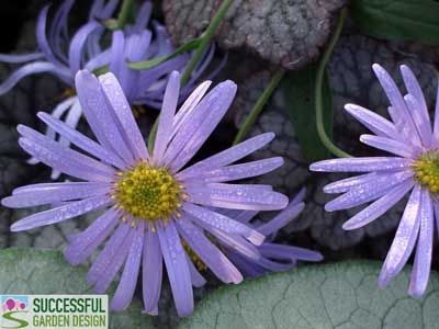 Garden design – that’s just about where you put plants, isn’t it?