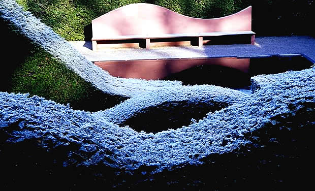 Charles Feb 08 Frost 004 (Small)