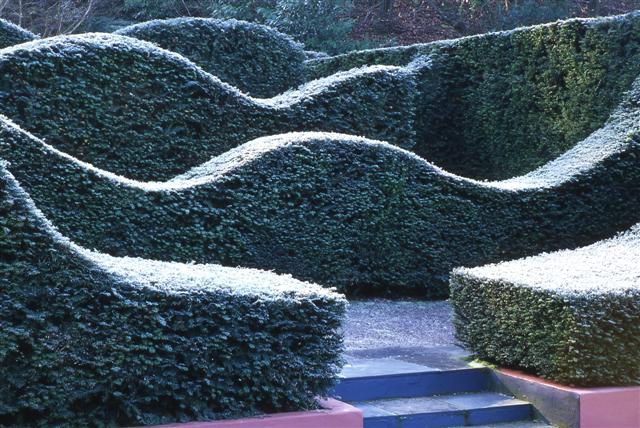 Charles Feb 08 Frost 012 (Small)