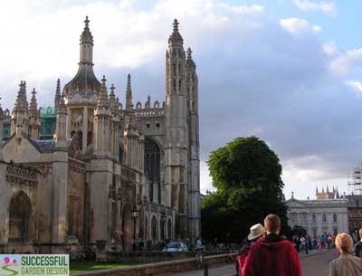 CambridgeKings