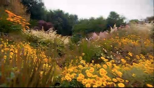 Don’t be Fooled by The Landscape Man!