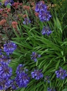 The Key To Creating A Great Garden – Without Spending A Fortune