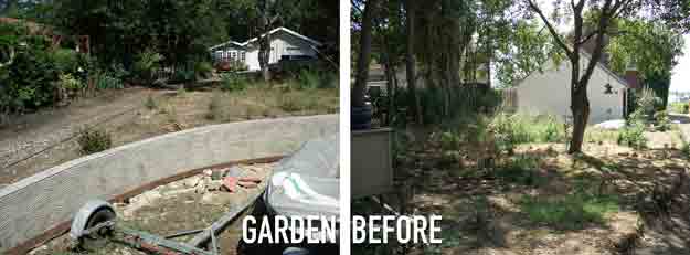 Unusual-Garden-Before