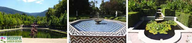 Traditional-ponds