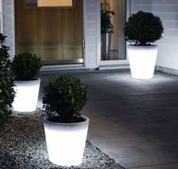 PlanterLights