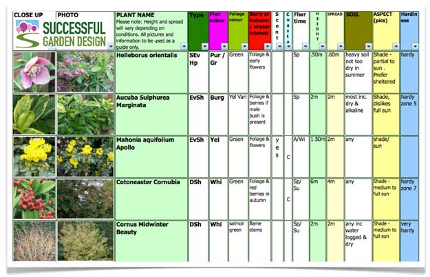 Plant Selection – Jolly in January