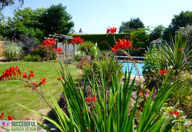 Garden update – sort of…