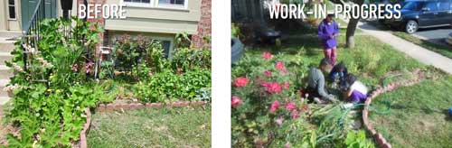 Front-Yard-Makeover-before-after