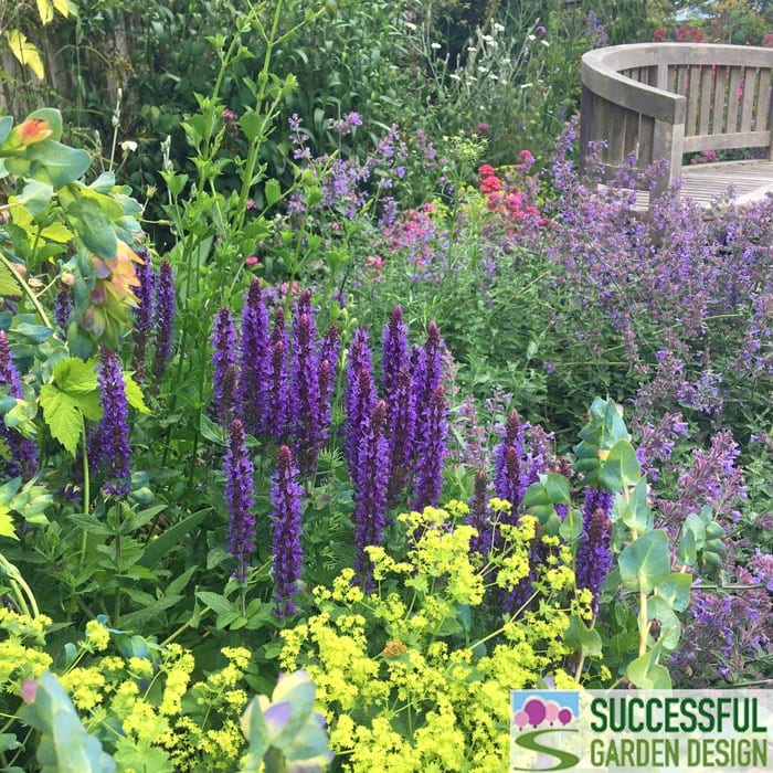 Sam’s stunning garden – update