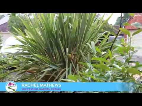 Successful Garden Design Tips – Creating privacy