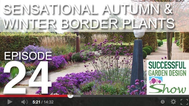 [DESIGN SHOW 24] Sensational Autumn & Winter Border Planting Tips