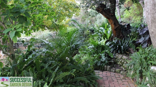 Successful Garden Design Tips – Evergreen Plants – Winter Wonders