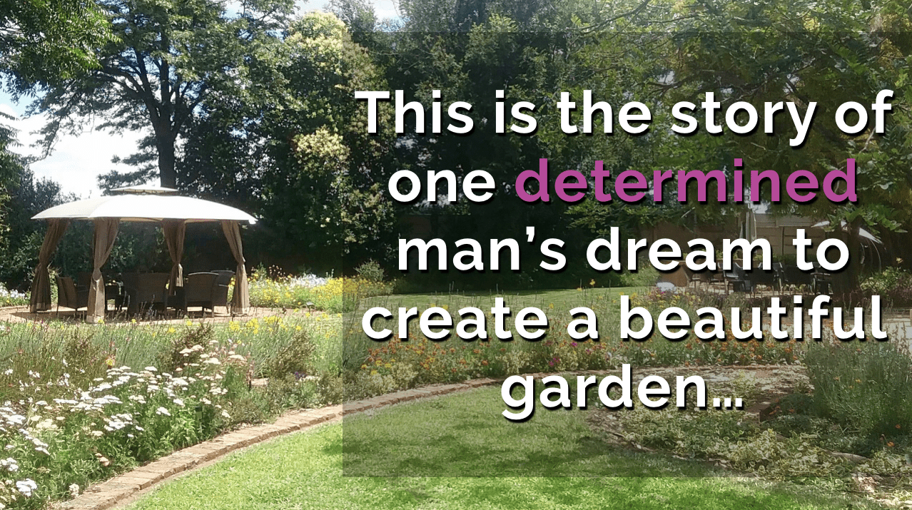 Online garden design course student – Zakes’ garden