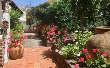 Sicilian Garden
