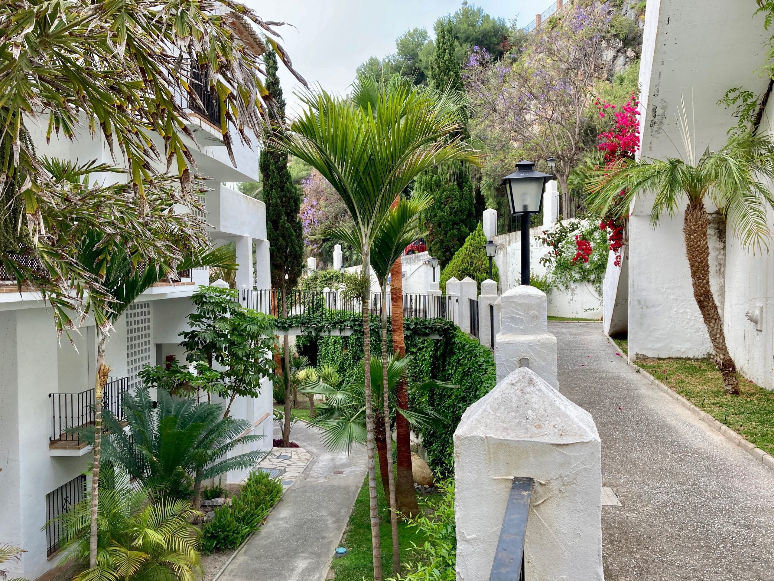 [DESIGN SHOW 34] Year round planting secrets