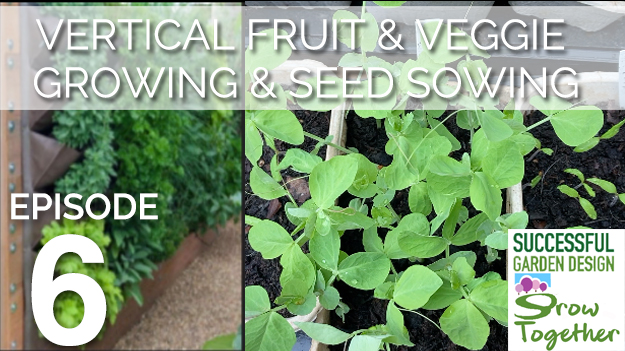 GT6 – Vertical vegetable growing & weird ancient seed sowing technique