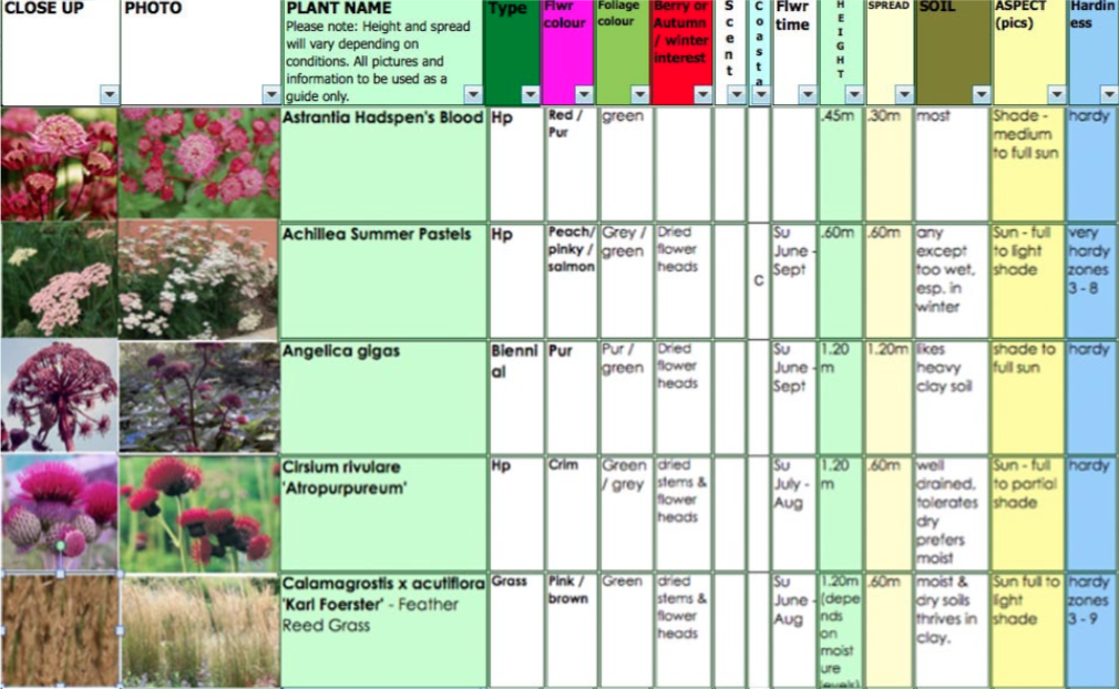 Joyful June Planting Combinations