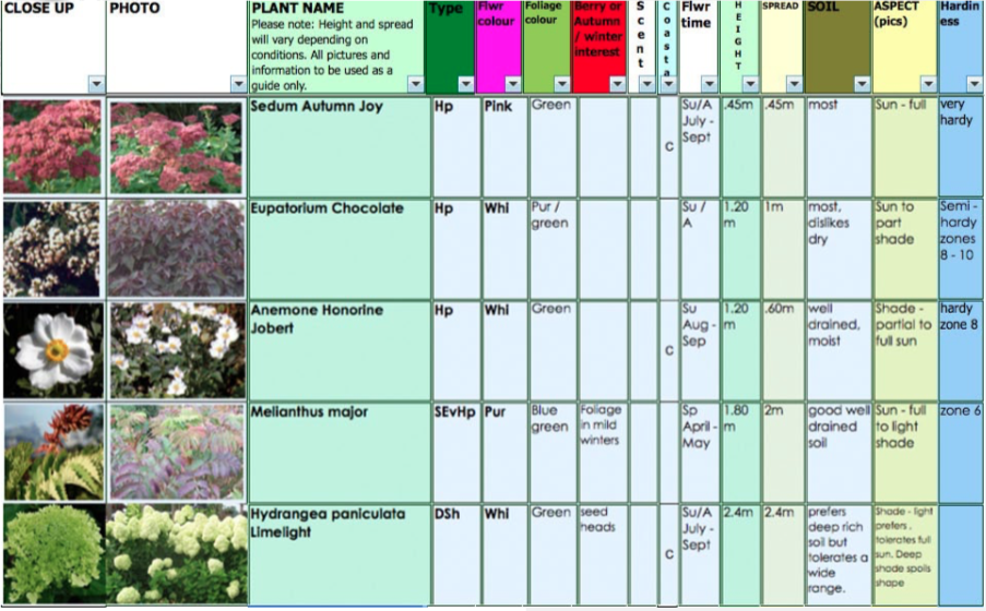 Planting Combinations – Appealing in August