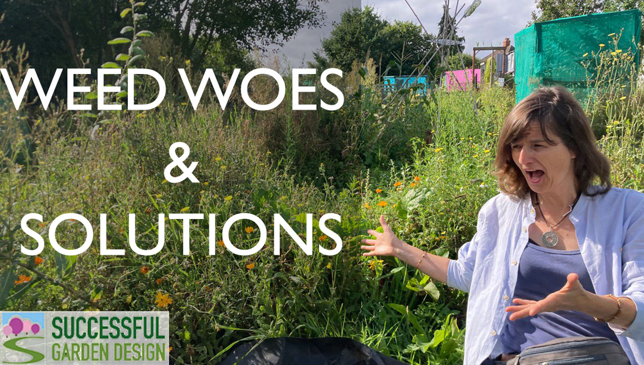 Weed woes & solutions