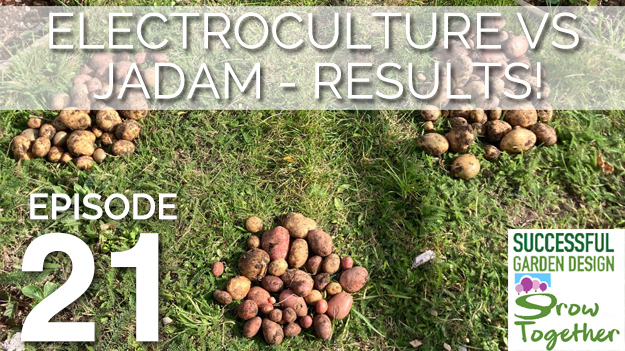 GT21 – RESULTS – Electroculture vs JADAM