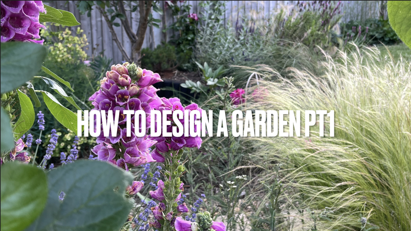 How to design a garden – Pt 1