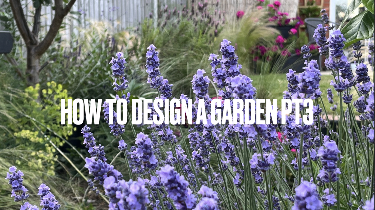 How to design a garden – pt 3