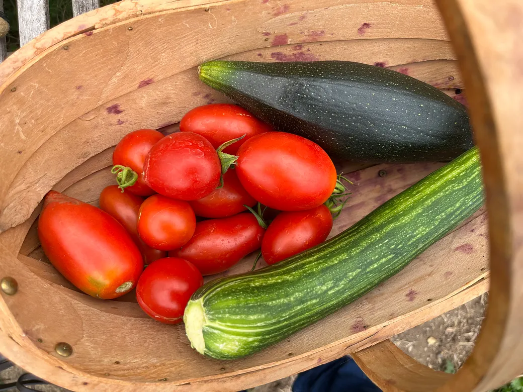 Growing Food the Garden Designer & Viking Way